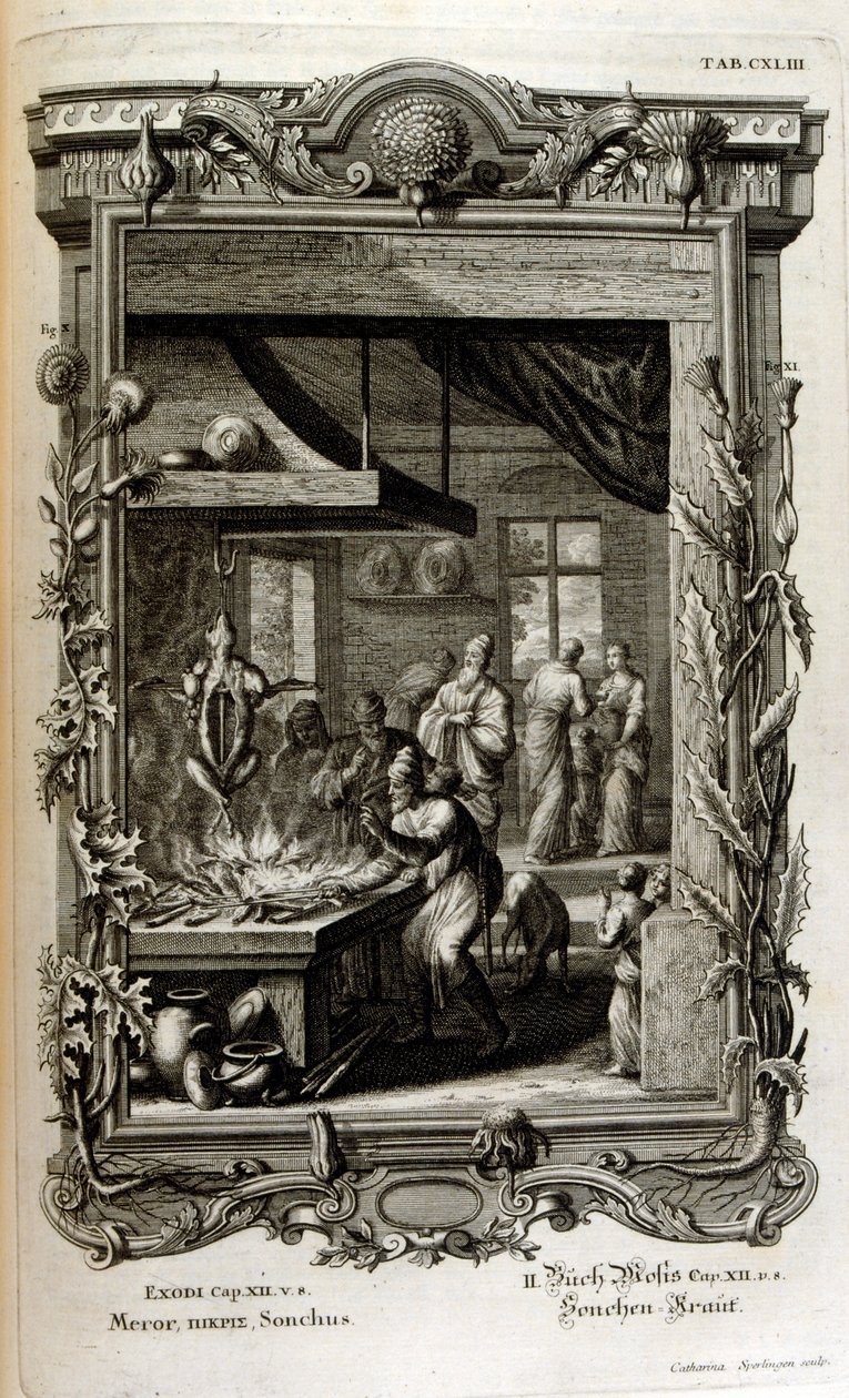 Ilustração de Physique sacree, ou Histoire-naturelle de la Bible de Johann Jakob Scheuchzer