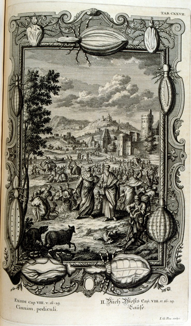 Praga de piolhos e mosquitos de Johann Jakob Scheuchzer