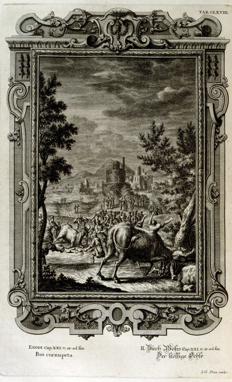 Sacrifício de touros selvagens de Johann Jakob Scheuchzer