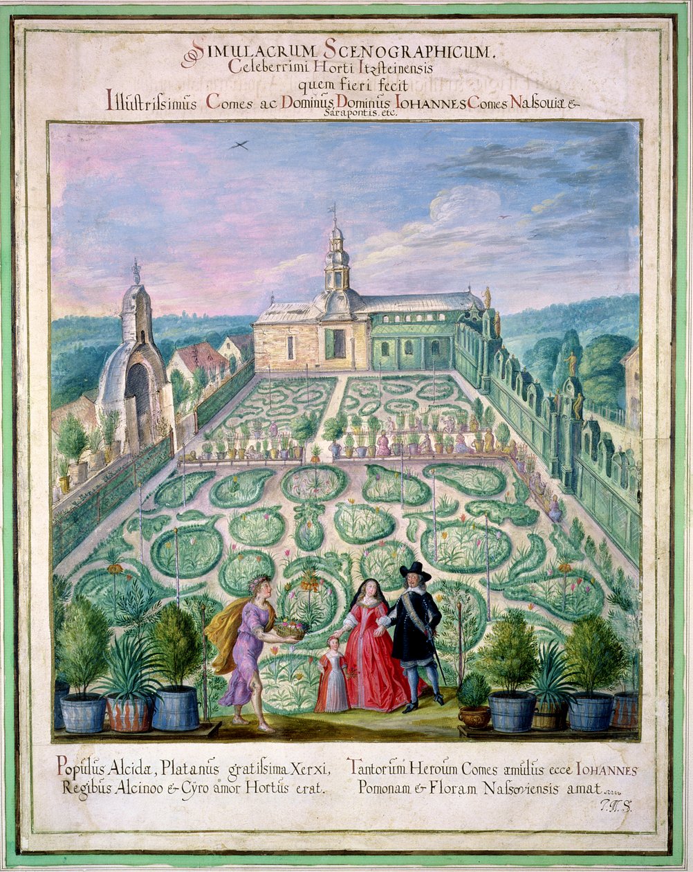 Jardim Holandês, do &39;Nassau Florilegium&39;, 1650 de Johann Jakob Walther