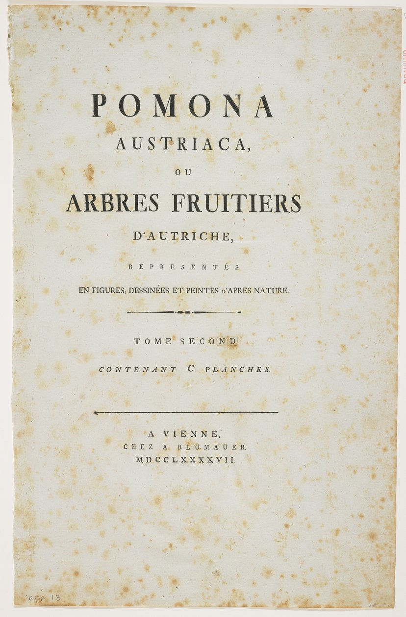 Página de título de &39;Pomona Austriaca, ou árvores frutíferas da Áustria&39;, 1787-96 (impressão) de Johann Kraft