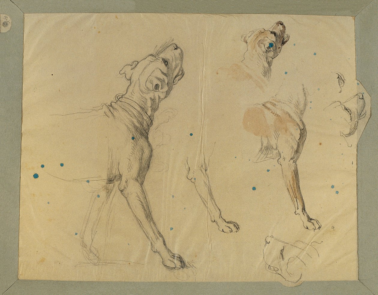 Estudo do cão para o "Homecoming of the Landwehr Man" (1820) de Johann Peter Krafft