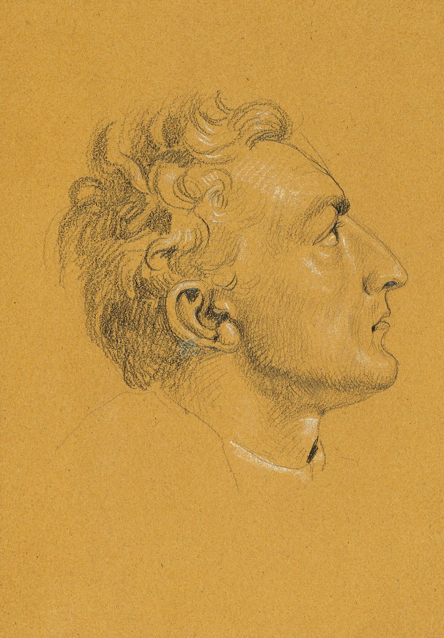 Estudo principal para "Retorno do Imperador Franz de Pressburg" de Johann Peter Krafft