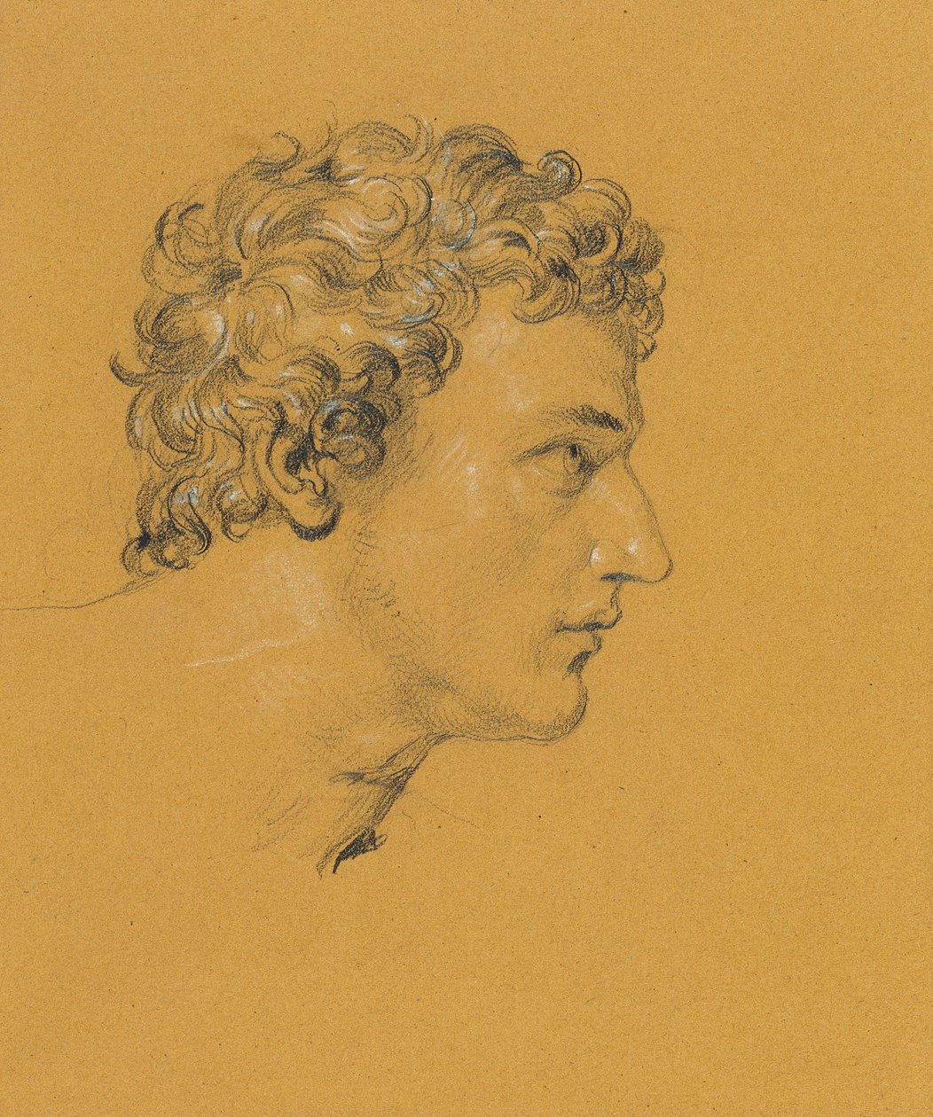 Estudo de uma cabeça de Johann Peter Krafft