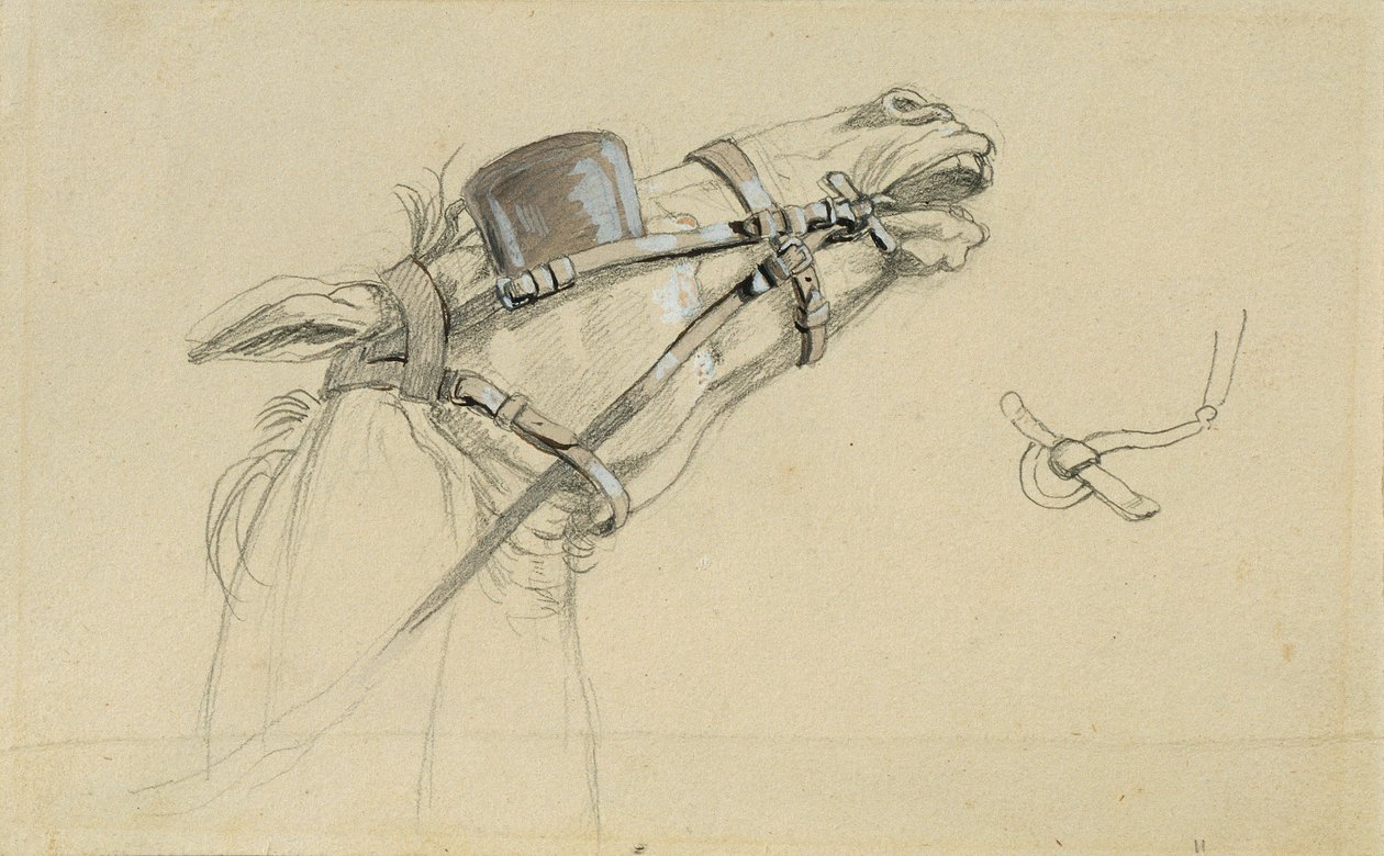 Estudo de uma Cabeça de Cavalo para "O regresso do Imperador Franz de Pressburg de Johann Peter Krafft