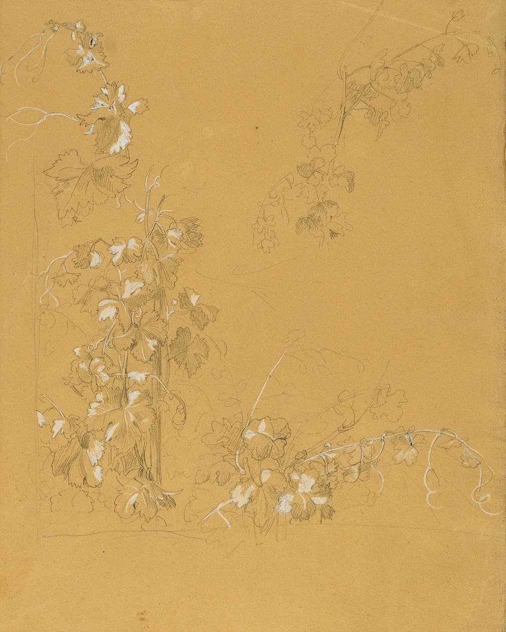 Weinstock, Estudo para "Hermann e Dorothea in the Vineyard" de Johann Peter Krafft