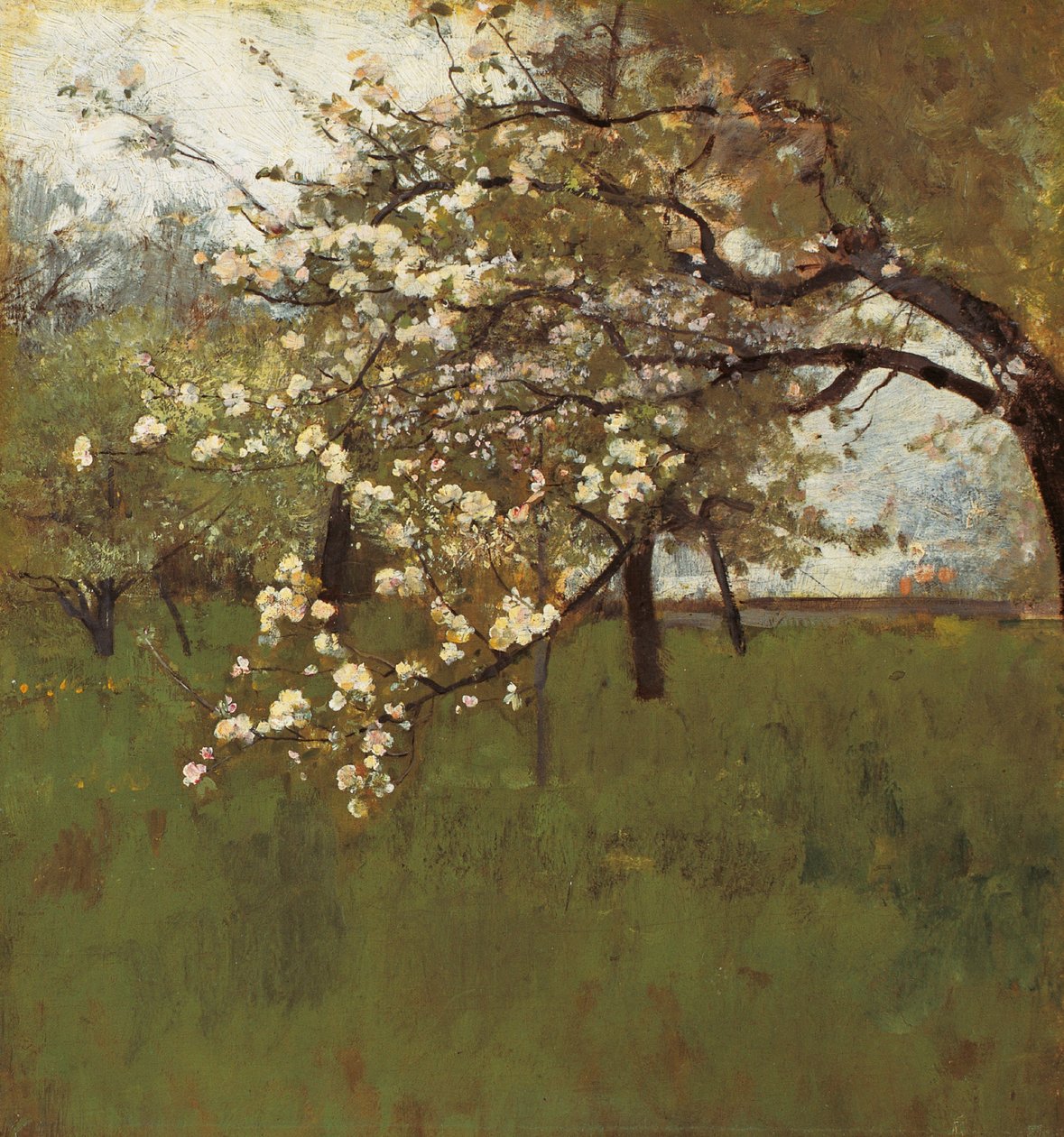 Macieira em flor (óleo sobre tela) de Johann Sperl
