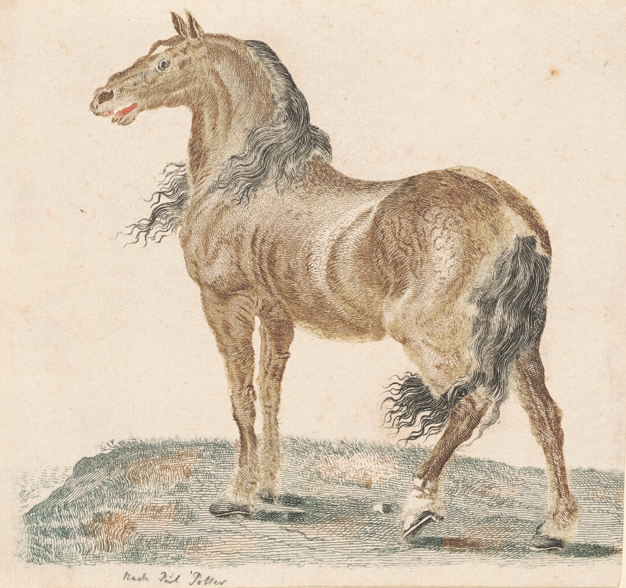 O Cavalo Relinchando de Johann Teyler, after Paulus Potter