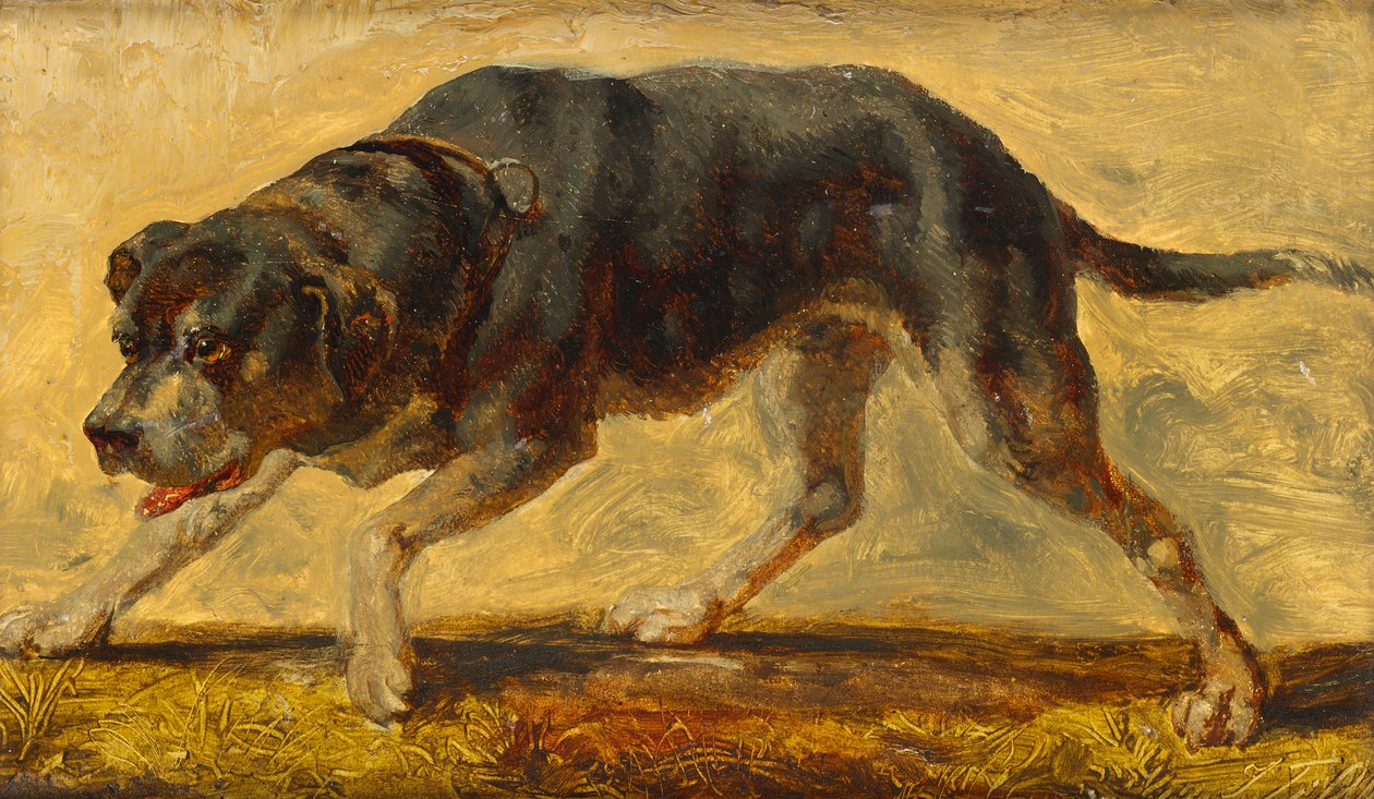 estudo de cachorro de Johann  Till der Jüngere