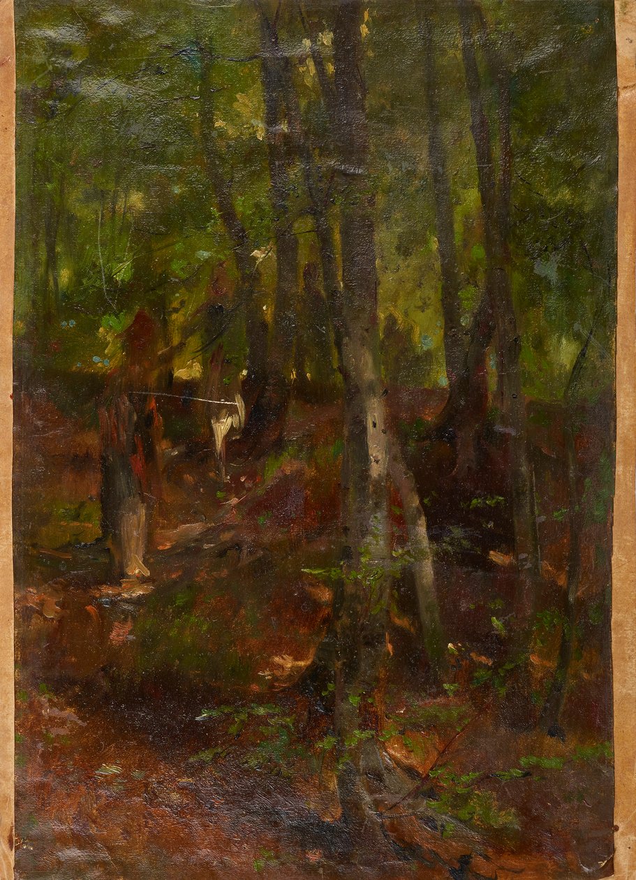 paisagem da floresta de Johann  Till der Jüngere