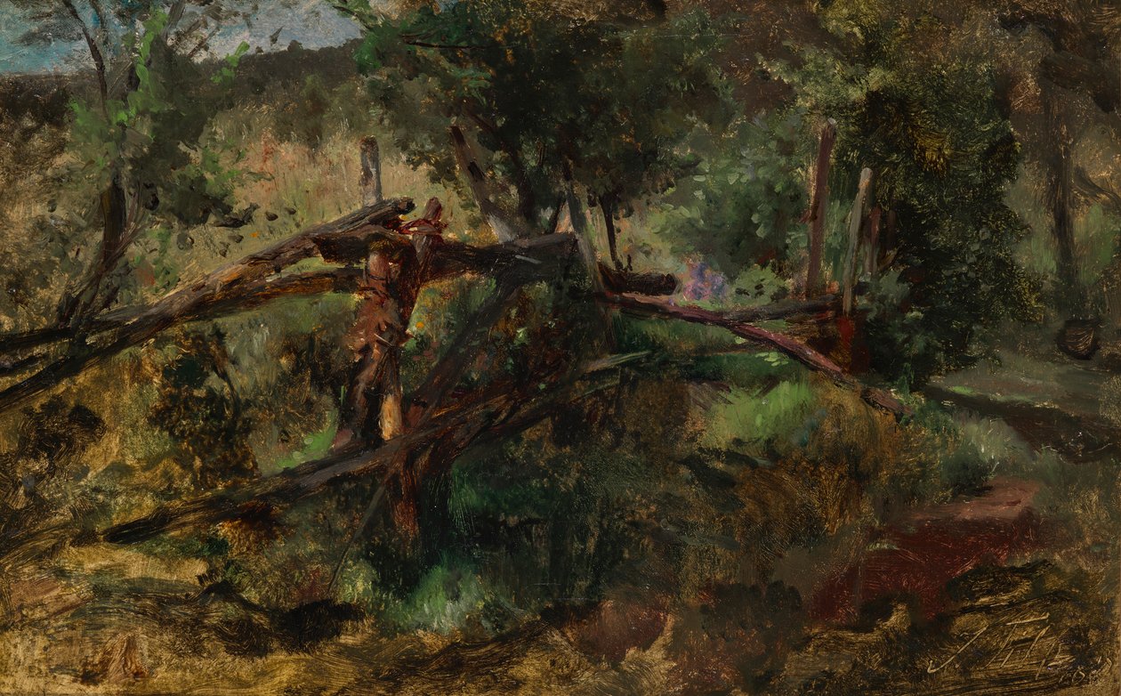 Caminho da floresta com cerca de Johann  Till der Jüngere