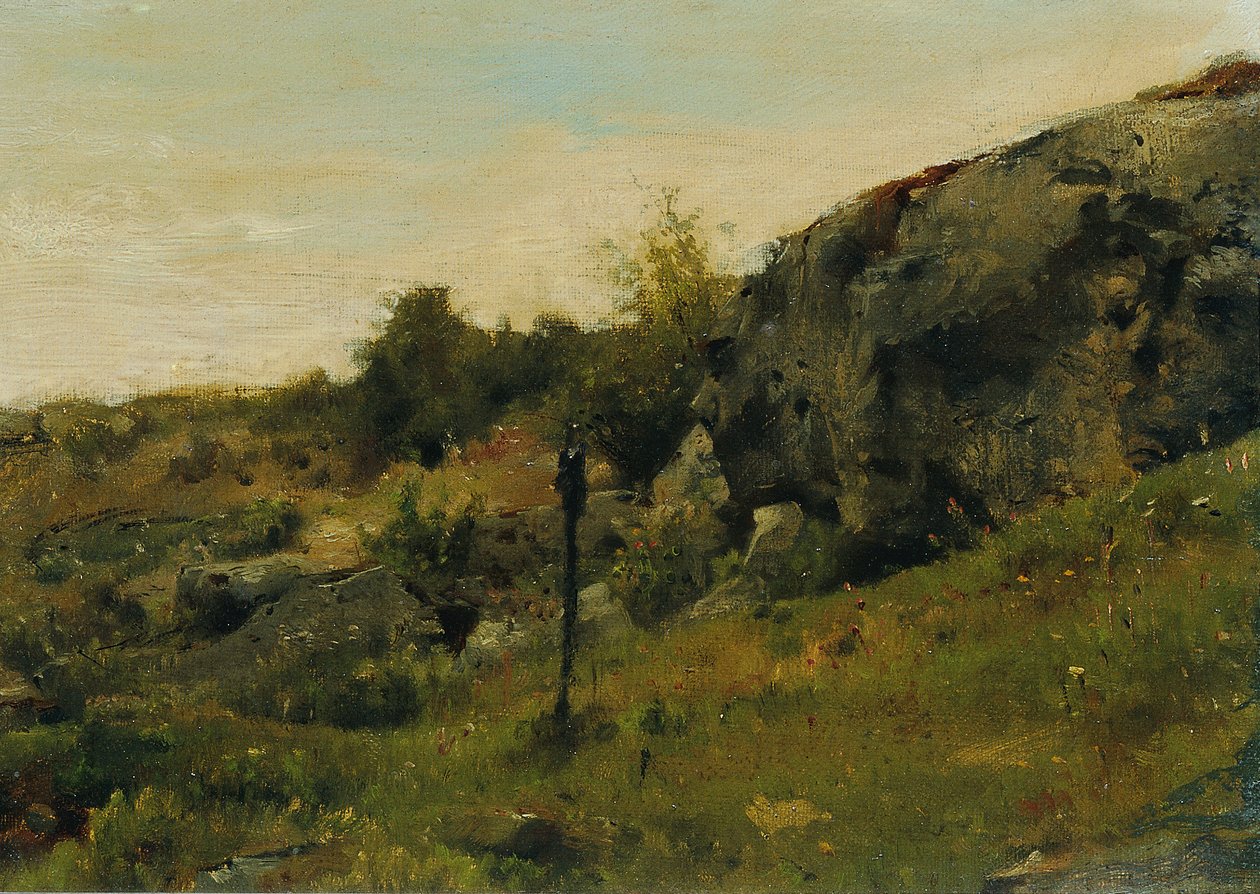 Paisagem de prados com rochas de Johann  Till der Jüngere