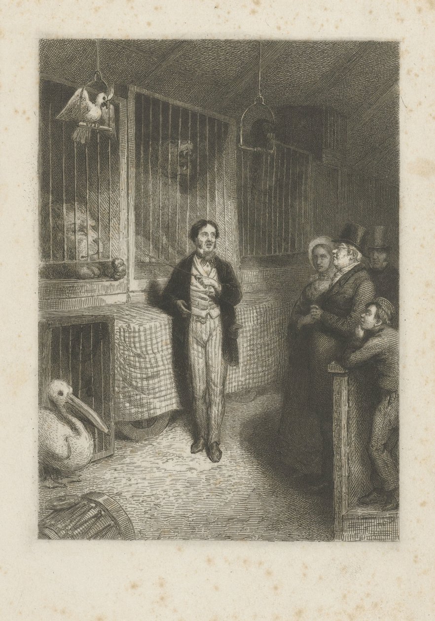 Observação de animais de Johann Wilhelm Kaiser (I)