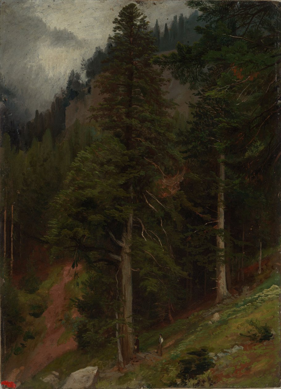 Encosta na floresta de abetos de Johann Wilhelm Schirmer