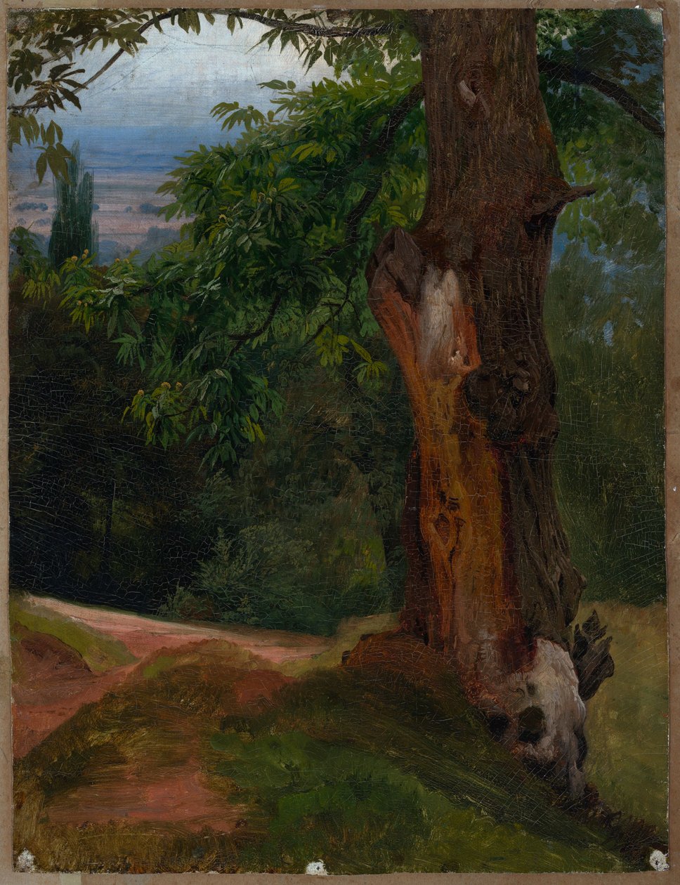 Estudo de árvore com vista para o vale de Johann Wilhelm Schirmer