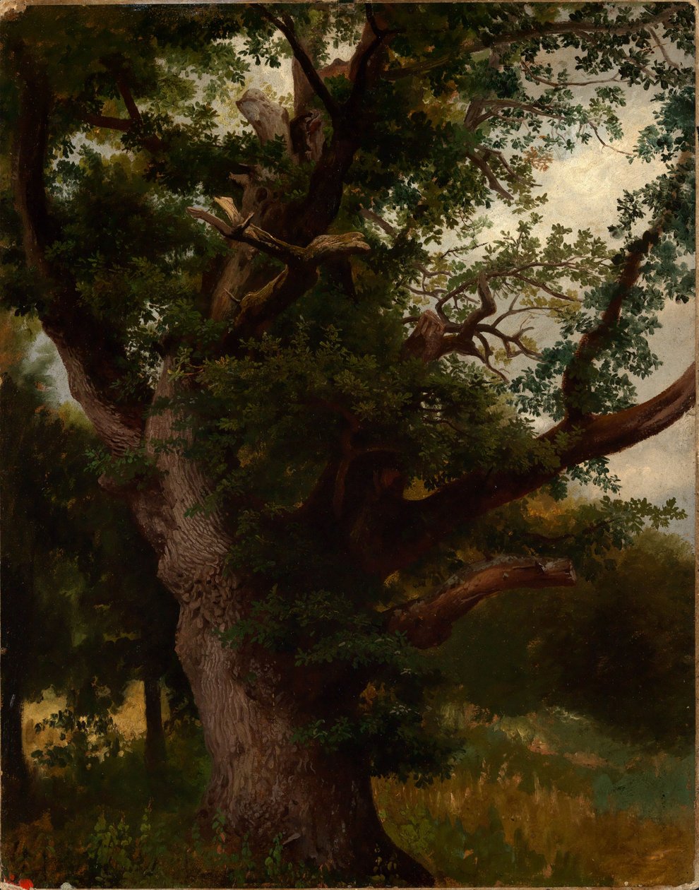 Eichbaum de Johann Wilhelm Schirmer