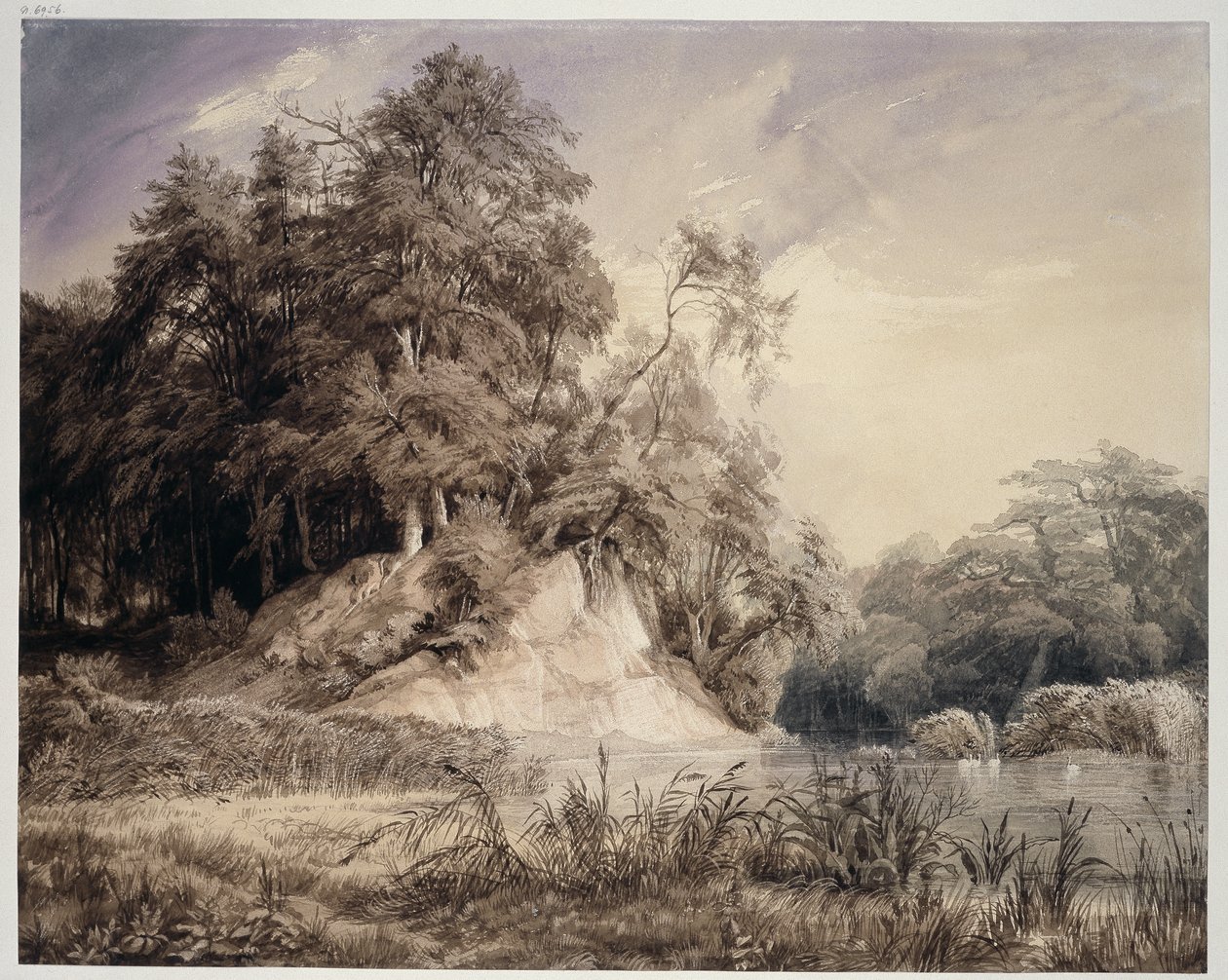 Paisagem florestal com lago e cisnes de Johann Wilhelm Schirmer