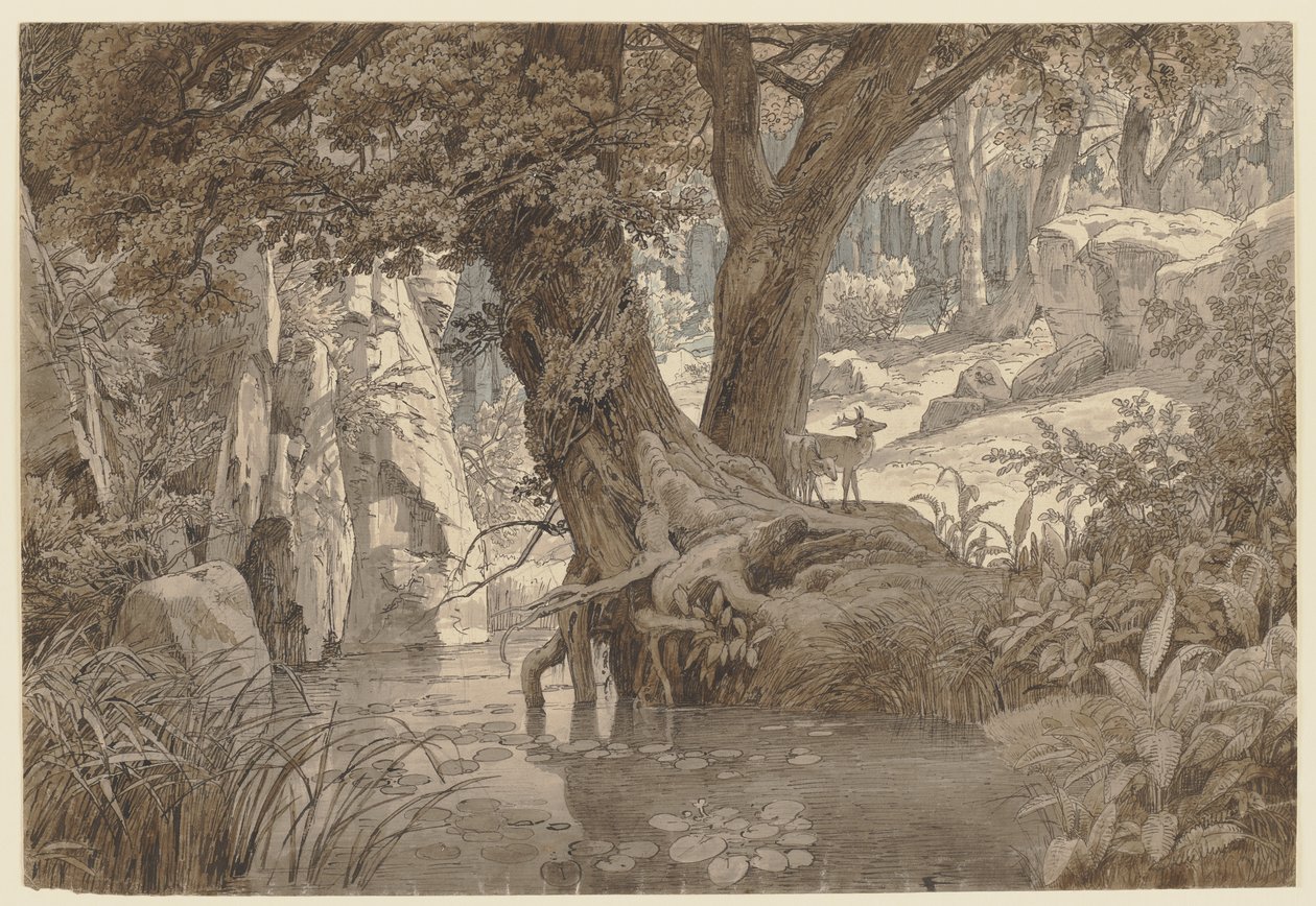 Paisagem florestal de Johann Wilhelm Schirmer