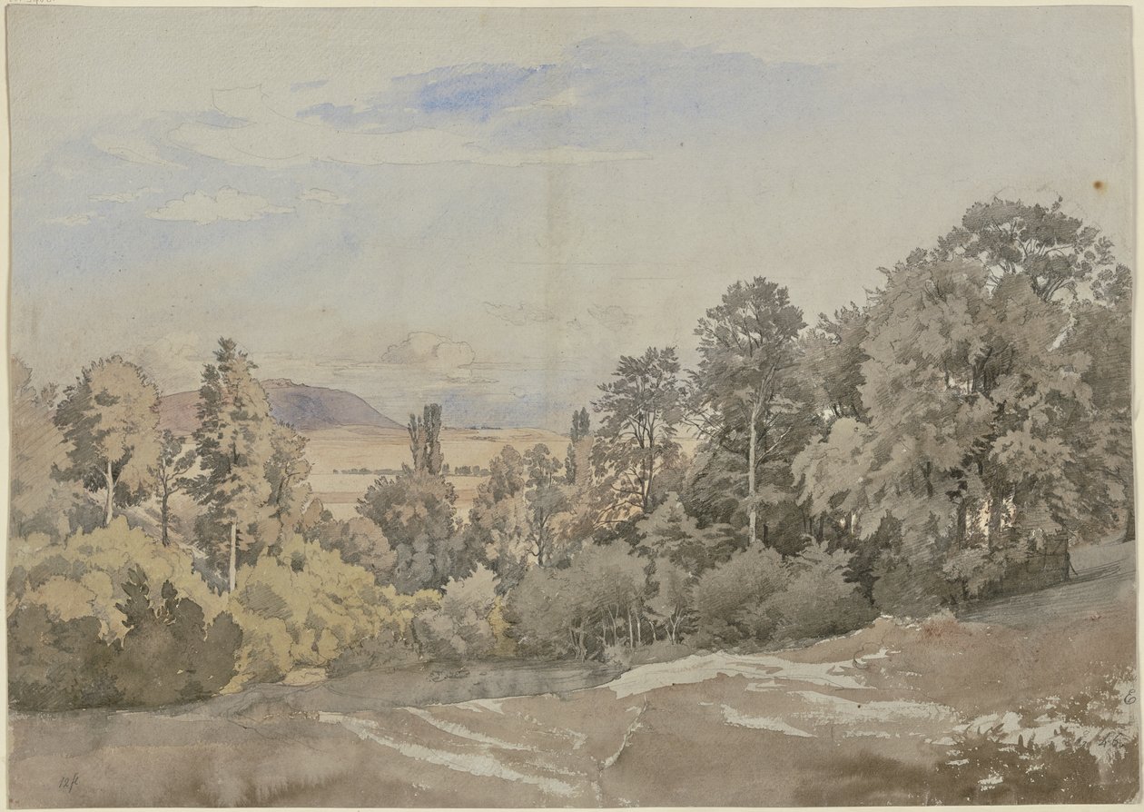 Floresta com vista ao longe de Johann Wilhelm Schirmer