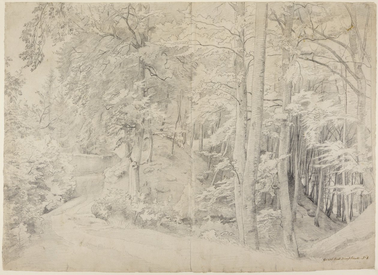 Na floresta de faias de Johann Wilhelm Schirmer