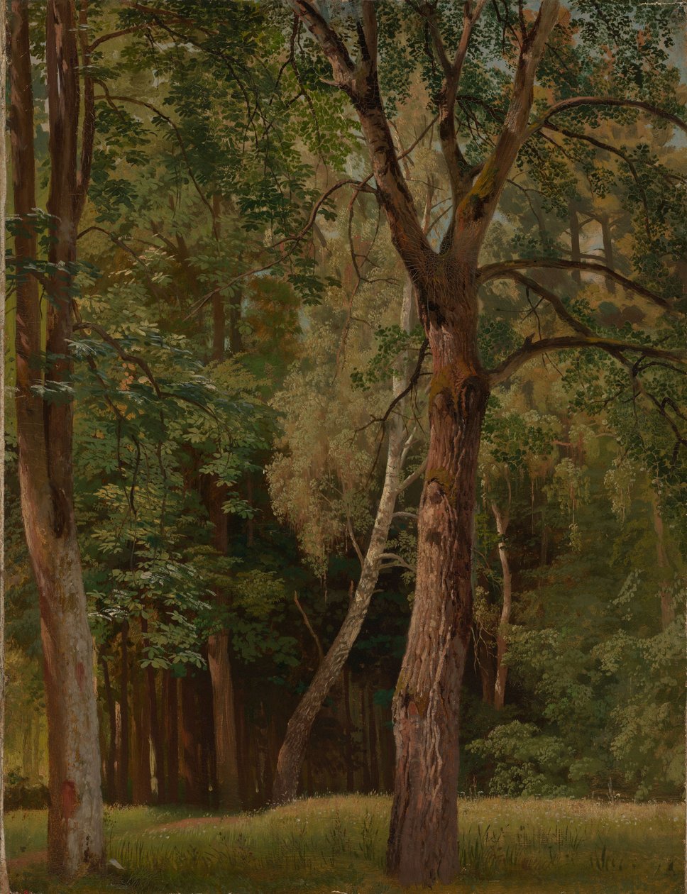 Floresta de folhosas com castanheiros e bétulas de Johann Wilhelm Schirmer