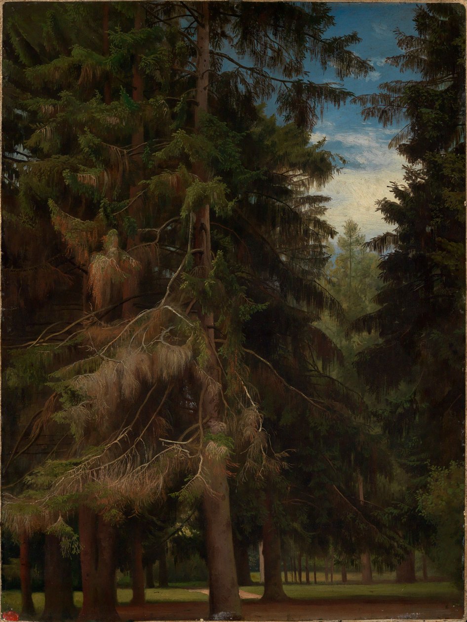 Clareira na floresta de abetos de Johann Wilhelm Schirmer