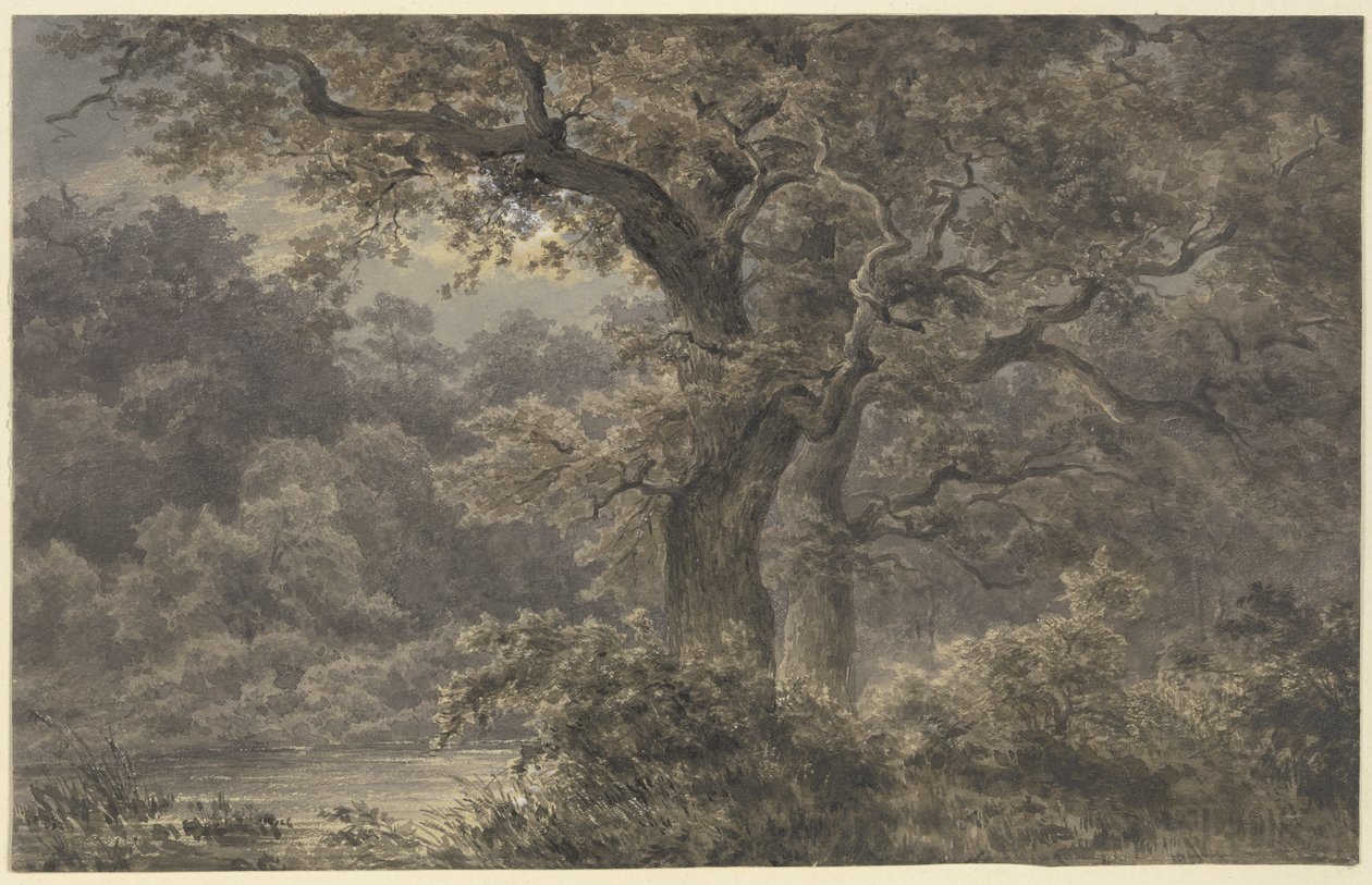 Carvalhos na floresta de Johann Wilhelm Schirmer
