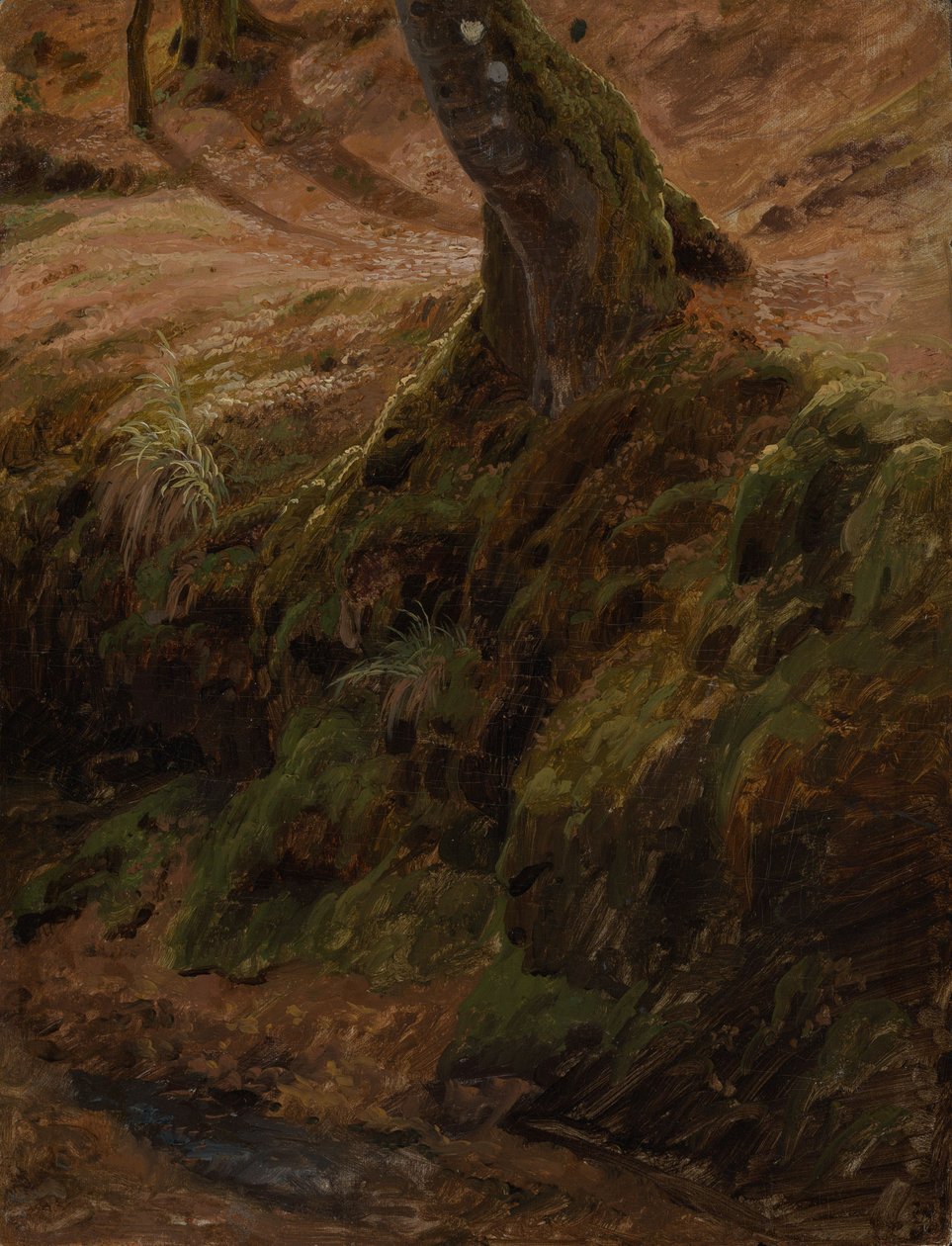 Encostas florestais com troncos de árvores de Johann Wilhelm Schirmer