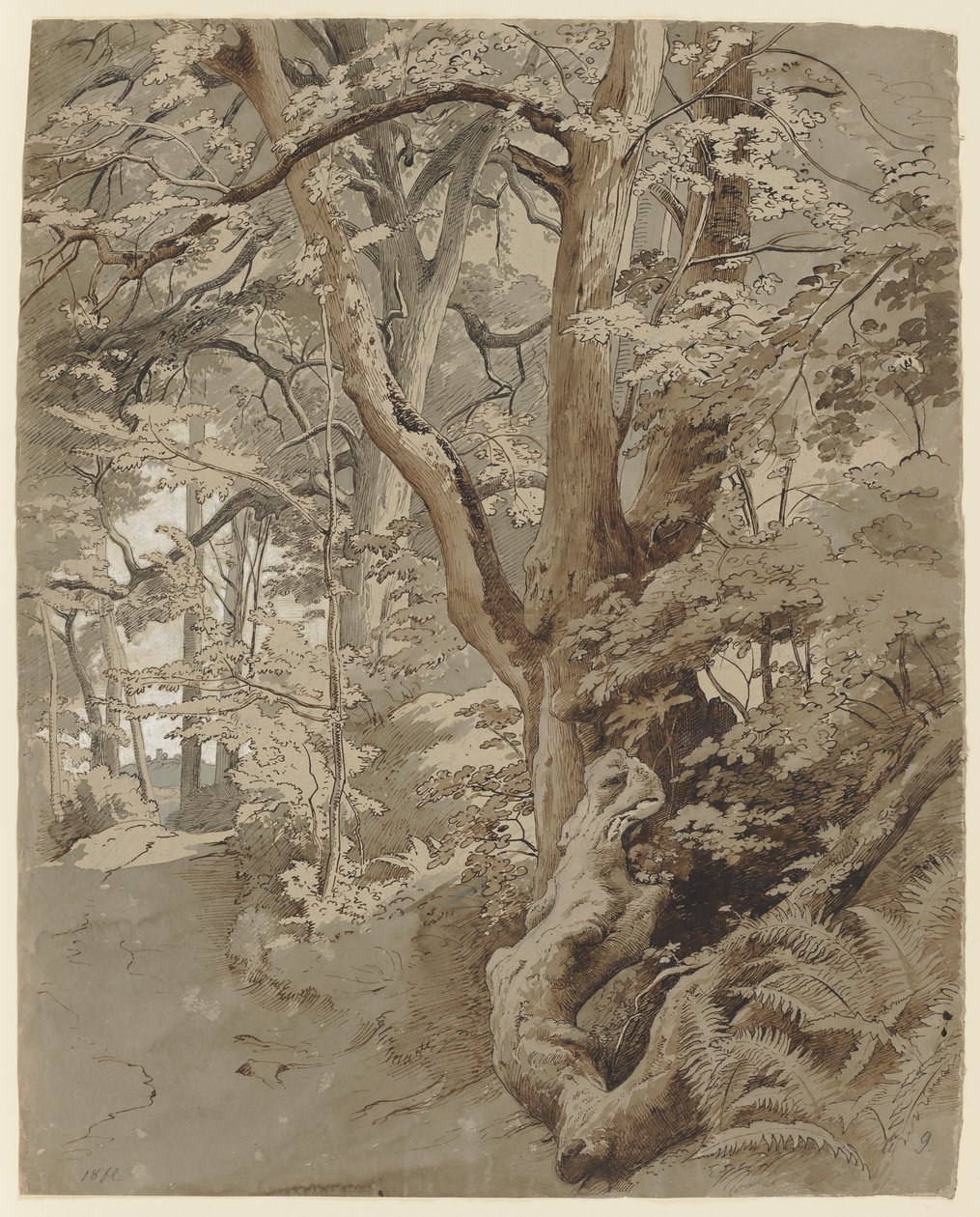 Cena de floresta com um carvalho e fetos de Johann Wilhelm Schirmer