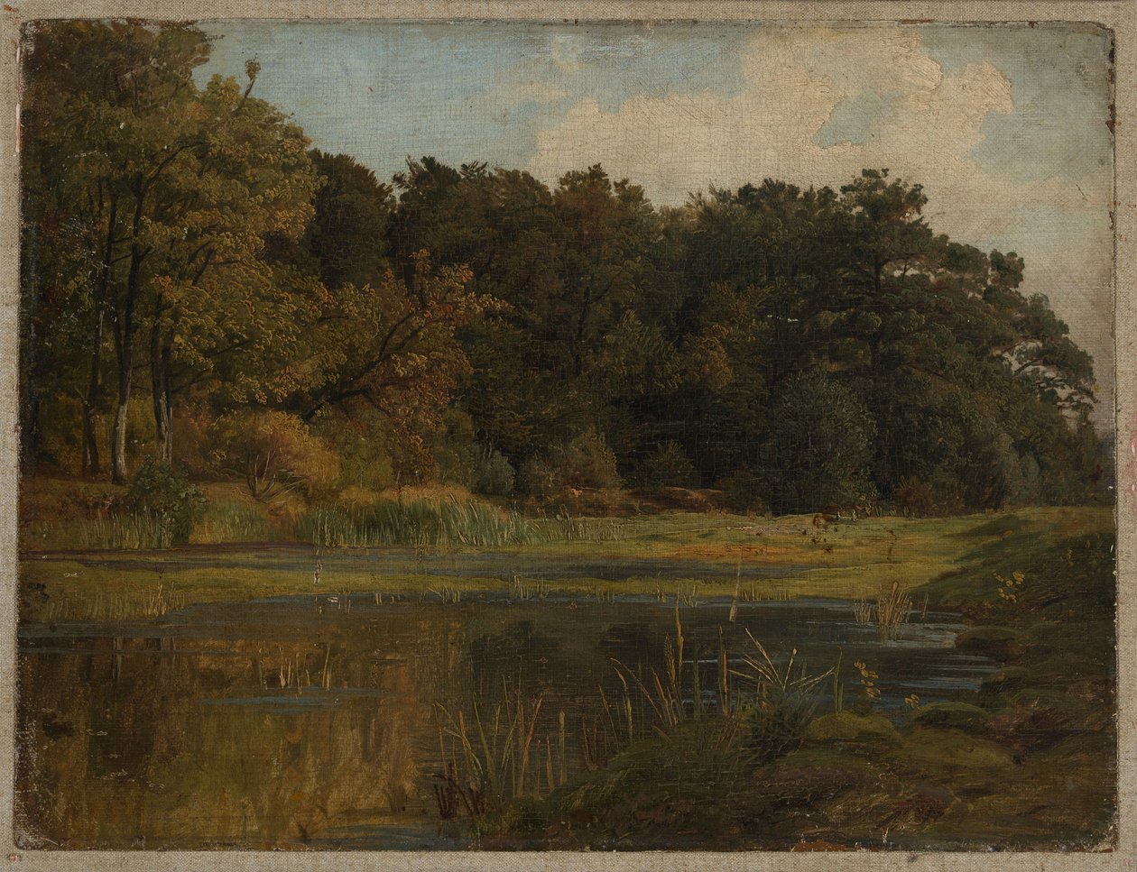 Lagoa na floresta de Johann Wilhelm Schirmer