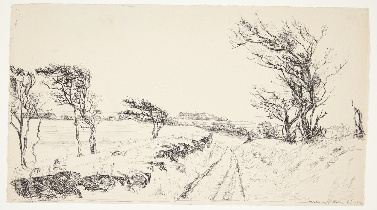 Paisagem Breininggaard de Johanne Krebs