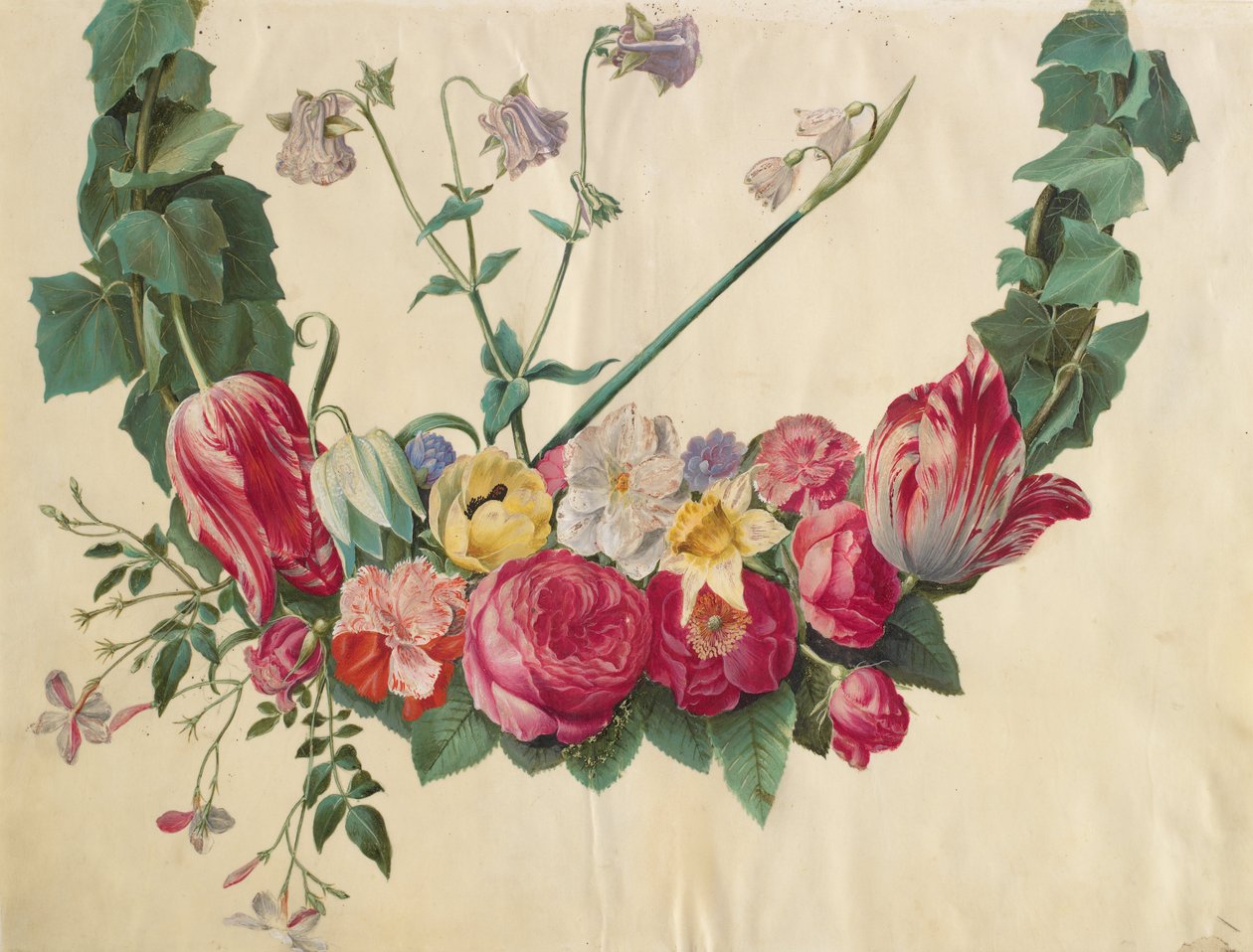 Ranke de Johannes Simon Holtzbecher