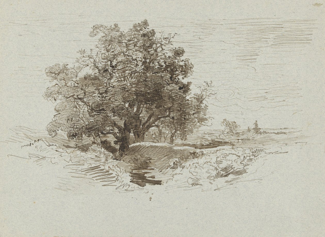 Grupo, de, carvalhos, perto, Wolfheze, a, países baixos de Johannes Warnardus Bilders
