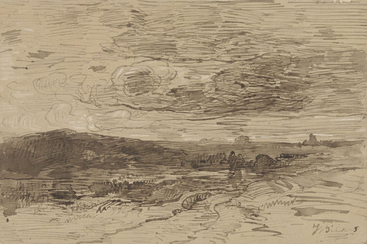 Heath-land em Drenthe, Holanda de Johannes Warnardus Bilders