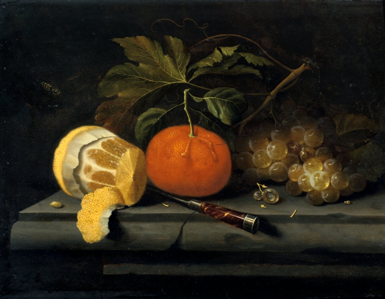 Frutas em uma mesa de pedra, c1653-1659 de Johannes Borman