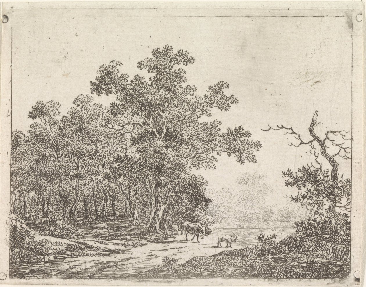 Paisagem com carvalho e gado de Johannes Christiaan Janson