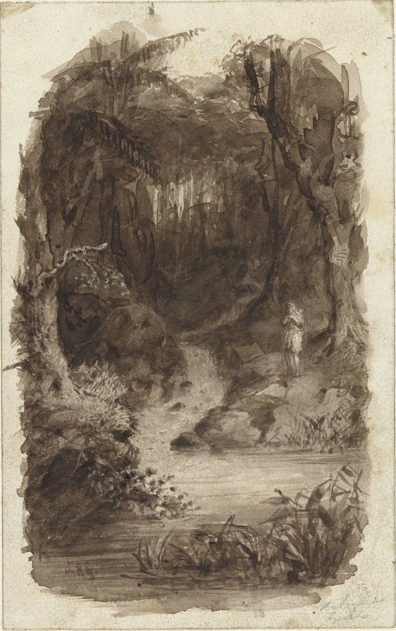 O homem na floresta tropical, de pé junto à água de Johannes Christiaan d