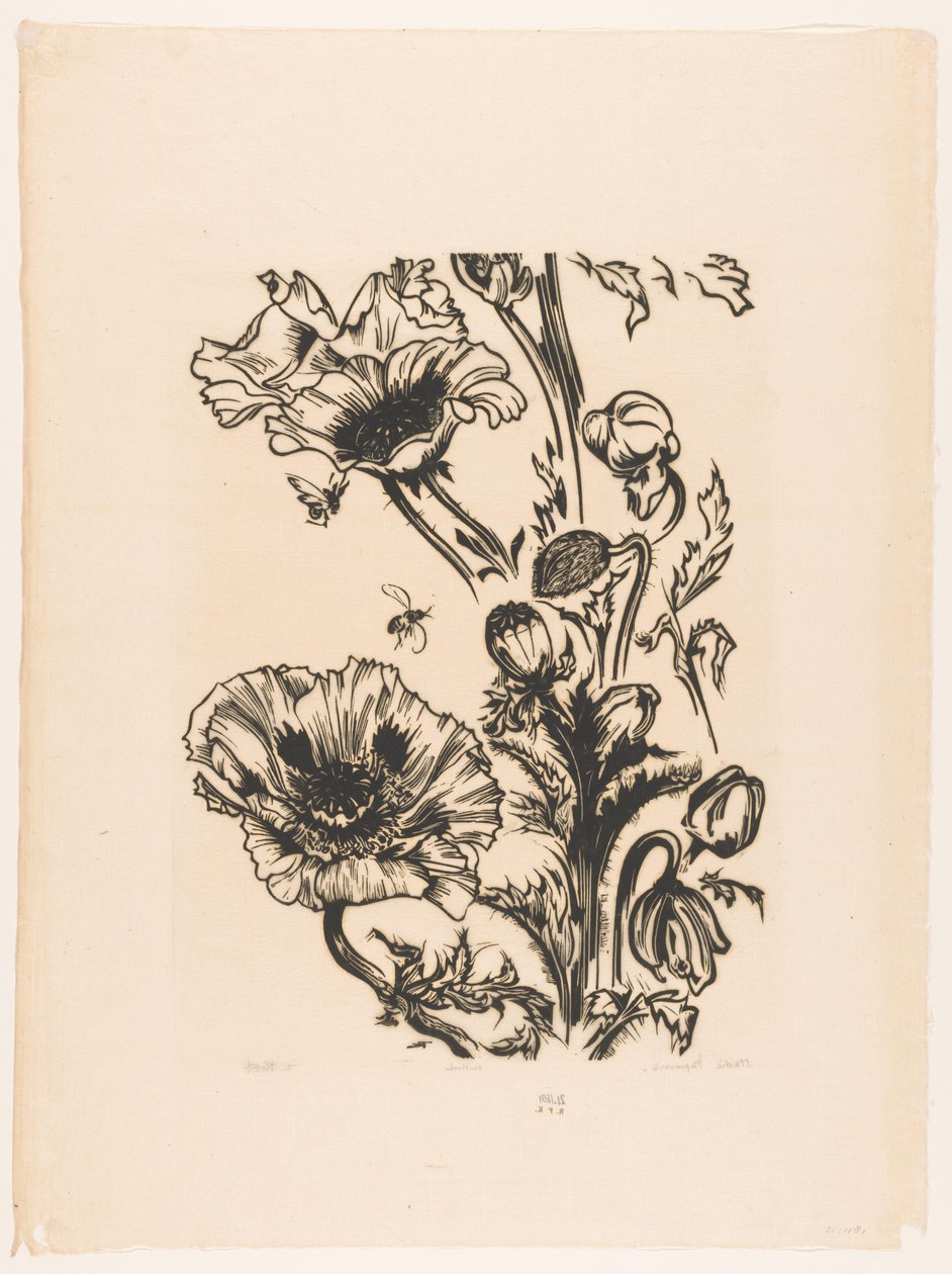 Studie papavers (título original sobre o objecto) de Johannes Frederik Engelbert ten Klooster (signed by artist)