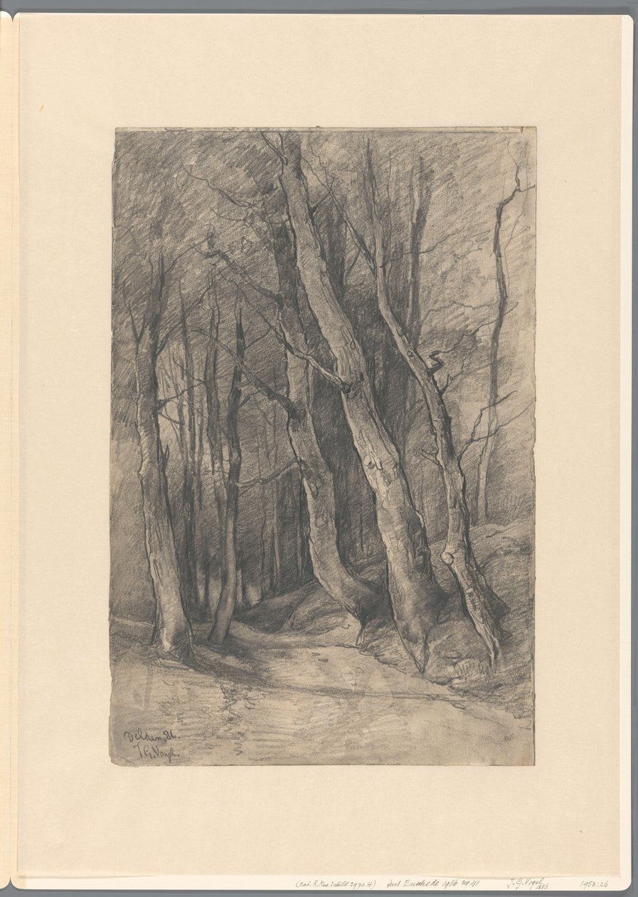 Paisagem da floresta perto de Delden de Johannes Gijsbert Vogel