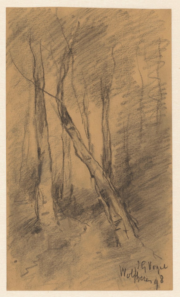 Paisagem da floresta em Wolfheze de Johannes Gijsbert Vogel