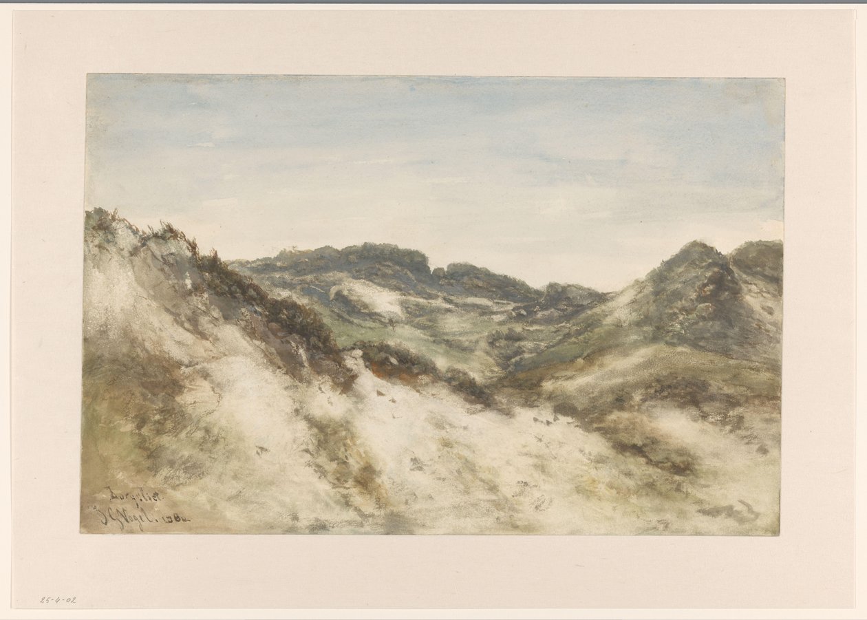Paisagem de dunas perto de Zorgvliet de Johannes Gijsbert Vogel
