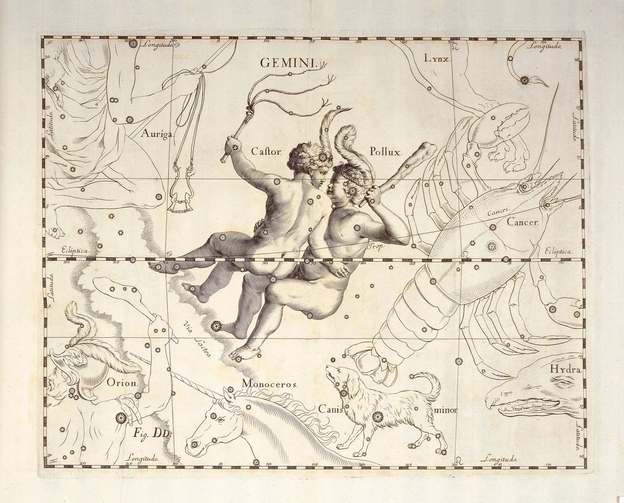Constelação Gemini de Gemini, gravura de atlas celeste Firmamentum Sobiescianum sive Uronographia, de Johann Hevelius (1611-1687), Gdansk de Johannes Hevelius