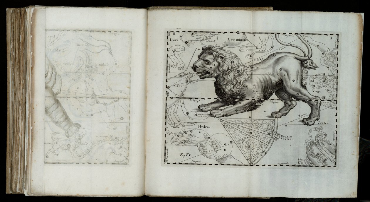 Leo (constelação), de "Prodromus astronomiae". de Johannes Hevelius