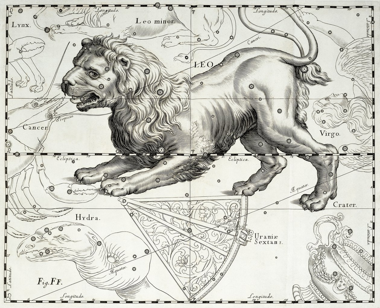 Leão, constelação zodiacal de Leão, ilustração retirada do atlas estrelado de Johann Hevelius (1611-1687) Firmamentum Sobiescianum sive Uranographia, Gdansk de Johannes Hevelius