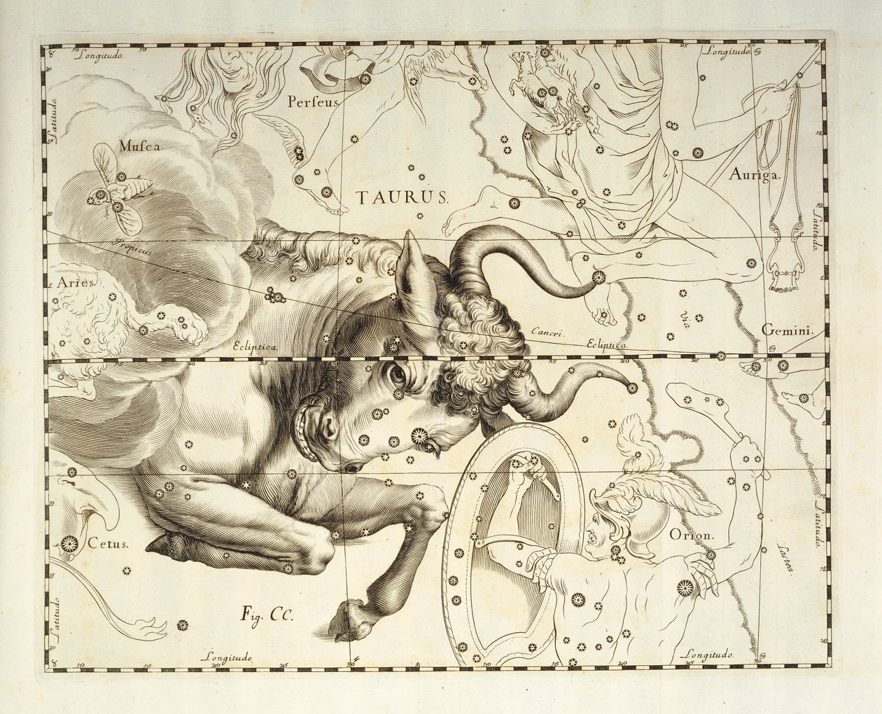Taurus, constelação de Taurus, gravura de atlas celeste Firmamentum Sobiescianum sive Uronographia, de Johann Hevelius (1611-1687), Gdansk de Johannes Hevelius