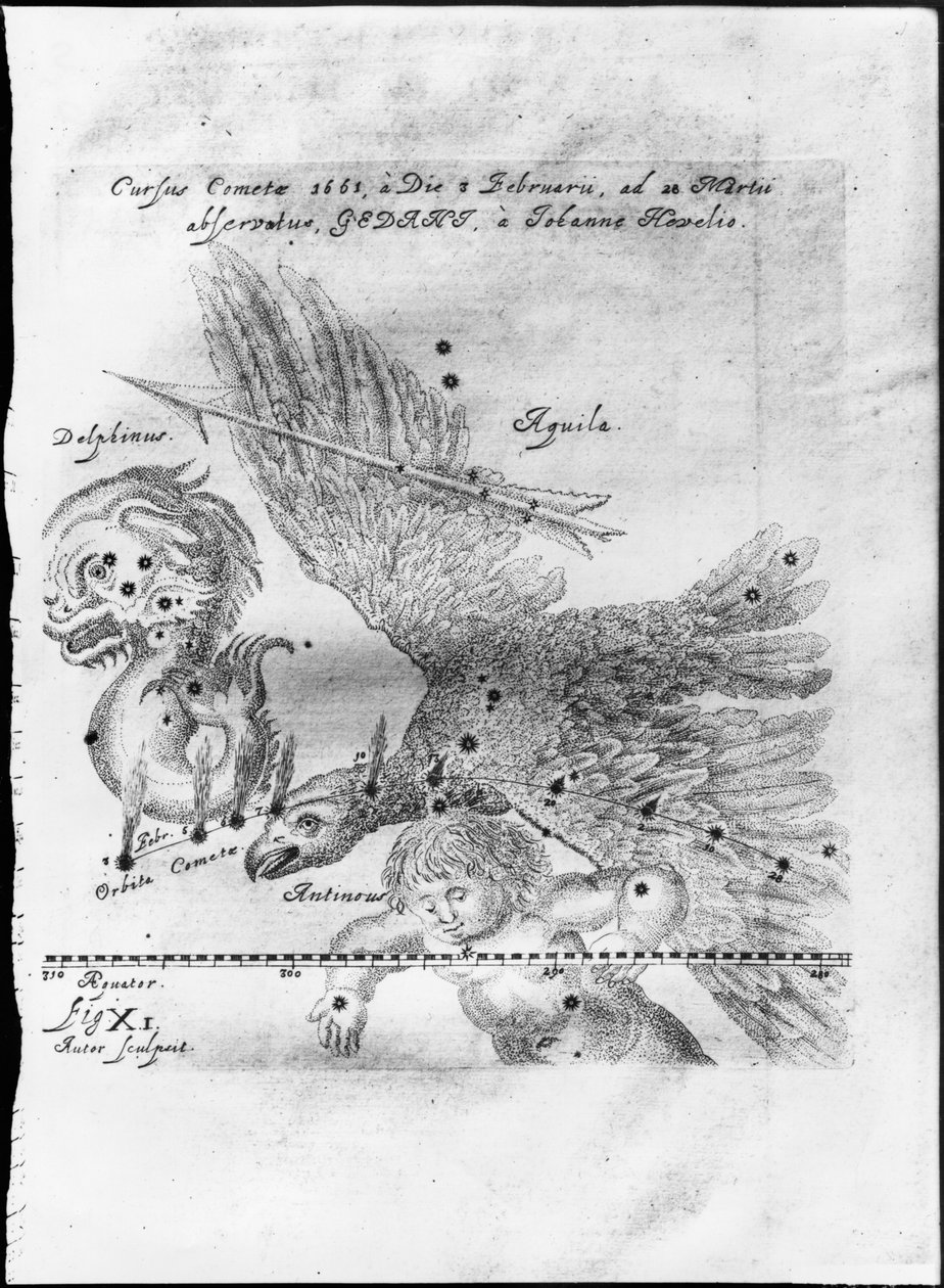 O Cometa descoberto e observado por Johannes Hevelius de 3 de fevereiro a 28 de março de 1661 em Gdansk de Johannes Hevelius