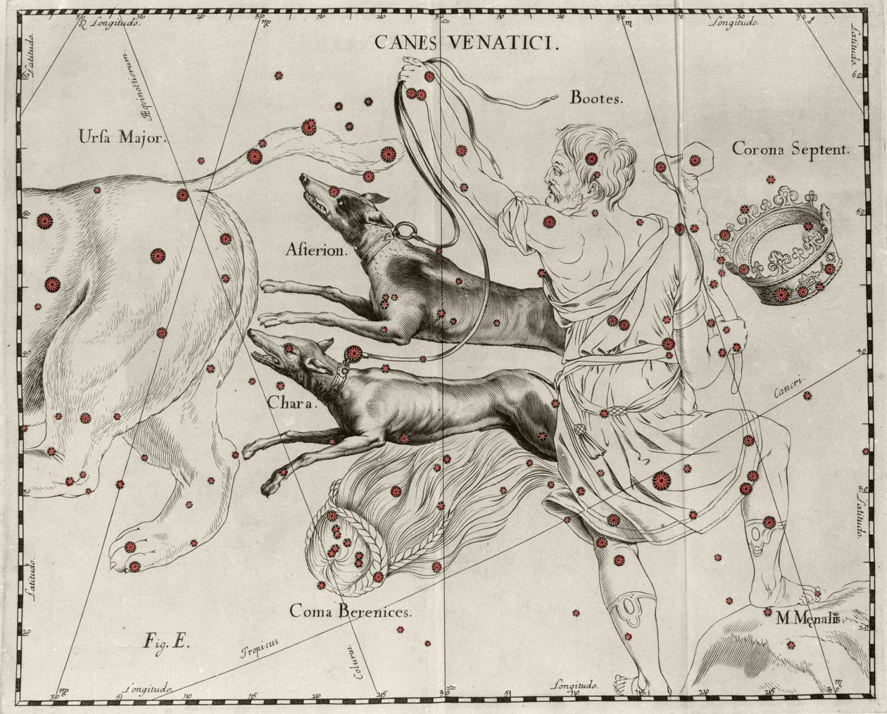 A constelação Canes Venatici, Cães de Caça. Placa retirada de "Firmamentum Sobiescanum sive Uranographia" de Johannes Hevelius ou Hevel (1611-1687) de Johannes Hevelius