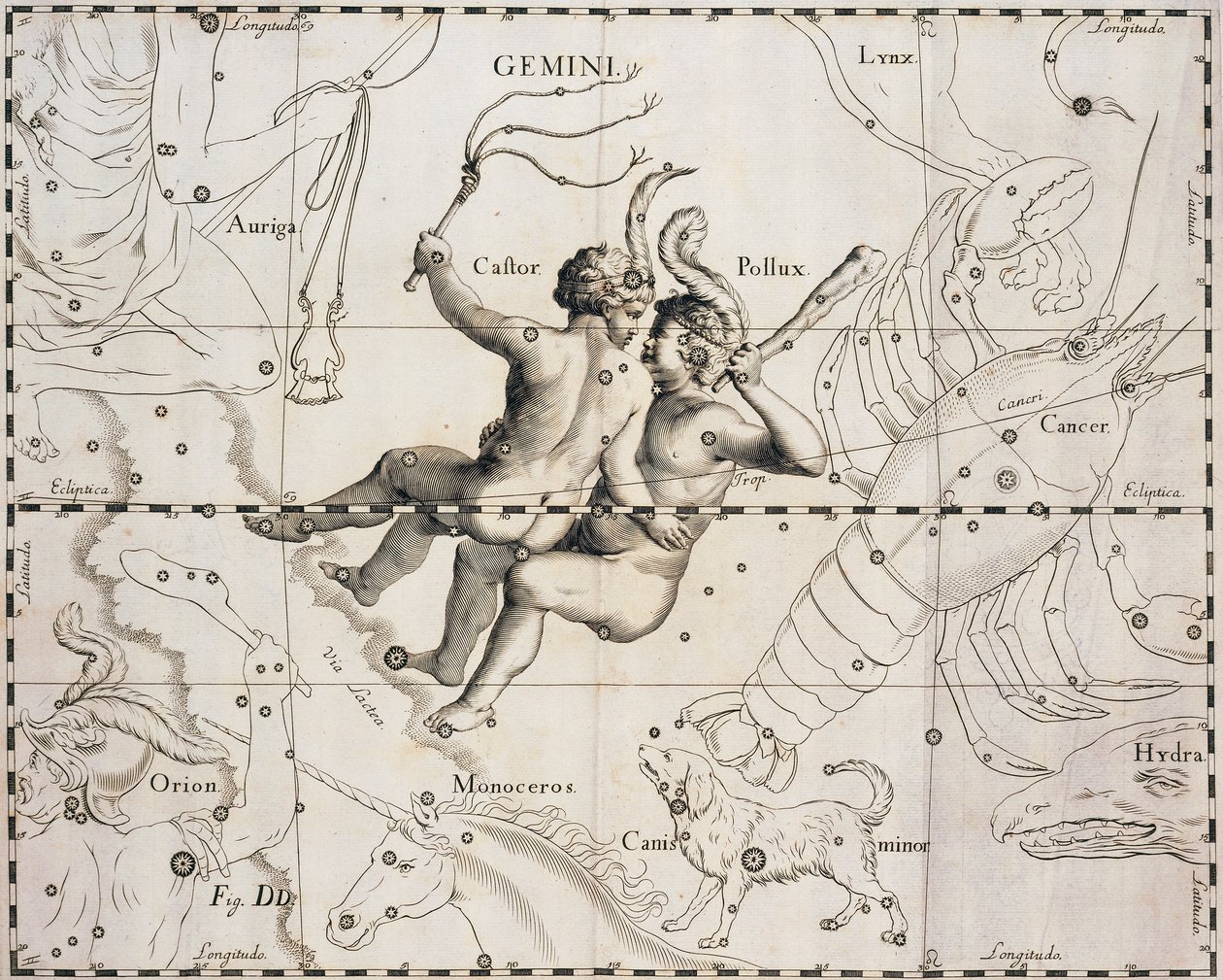 A constelação de Gêmeos, ilustração de Firmamentum Sobiescianum sive Uranographia, de Johann Hevelius (1611-1687), Gdansk 1690 de Johannes Hevelius