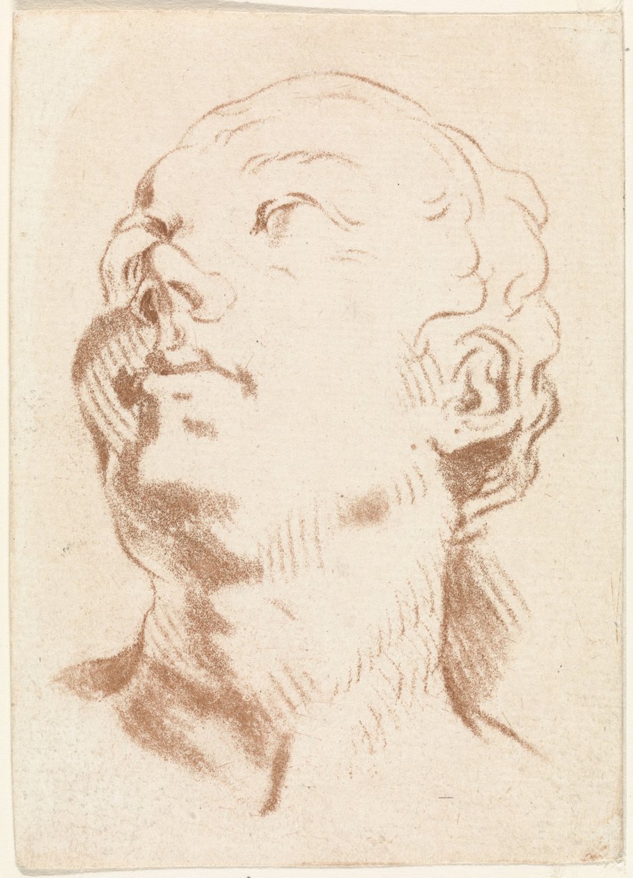 cabeça de mulher de Johannes Janson (possibly)