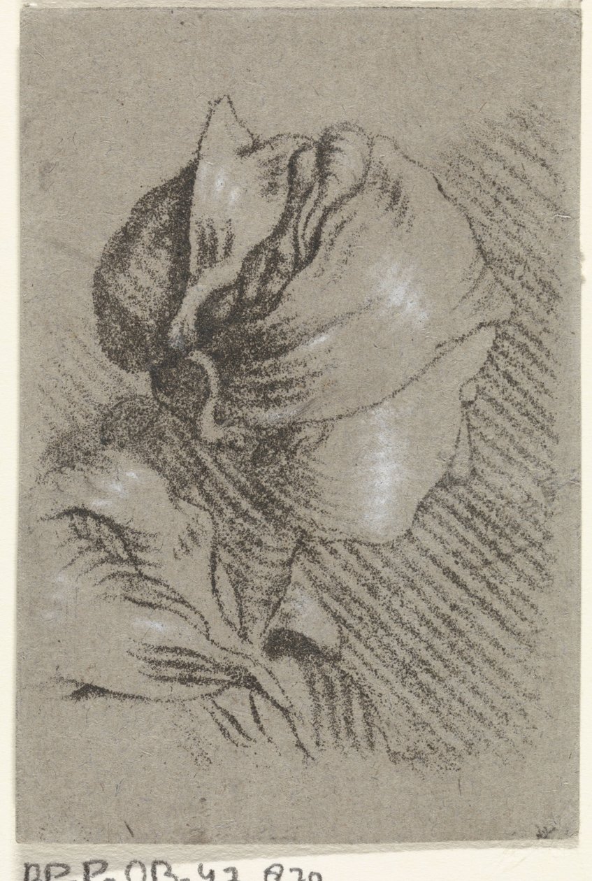 busto feminino de Johannes Janson (possibly)